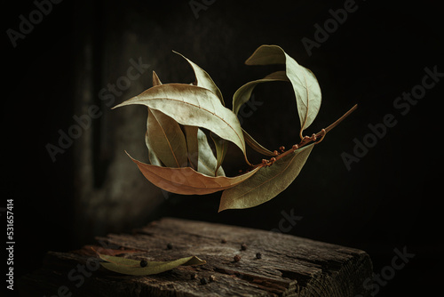 Art autumn still life of dried branch with bay leaves and spices in a rustic style on a dark wooden background. Autumnal composition for Thanksgiving Day