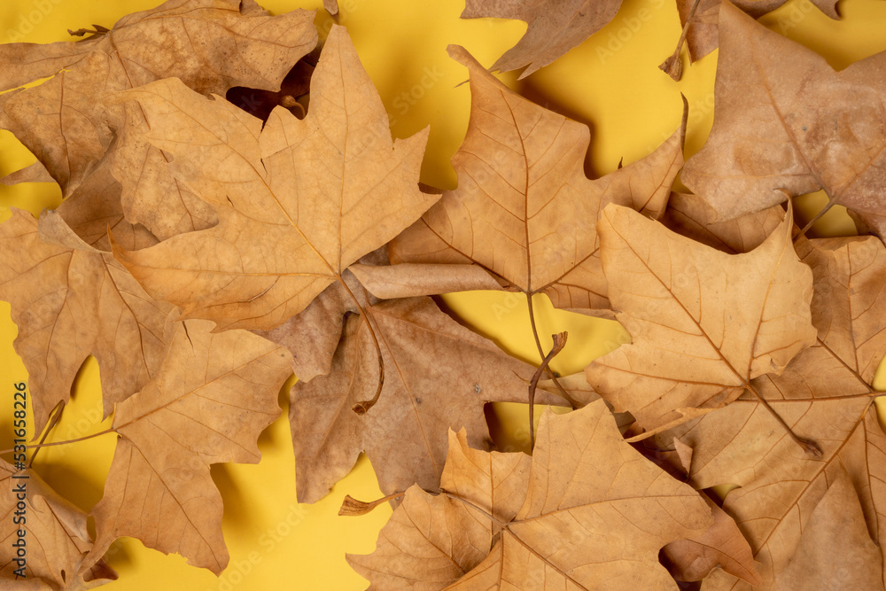 Autumn print with fallen dry leaves on plain yellow background