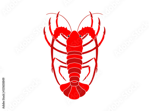 手描きの真上から見た伊勢海老のイラスト