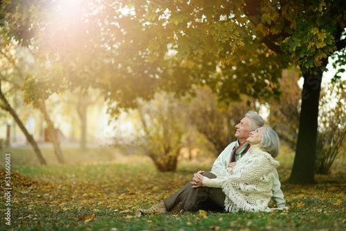 Elderly couple sitting together in the park on the grass in autumn