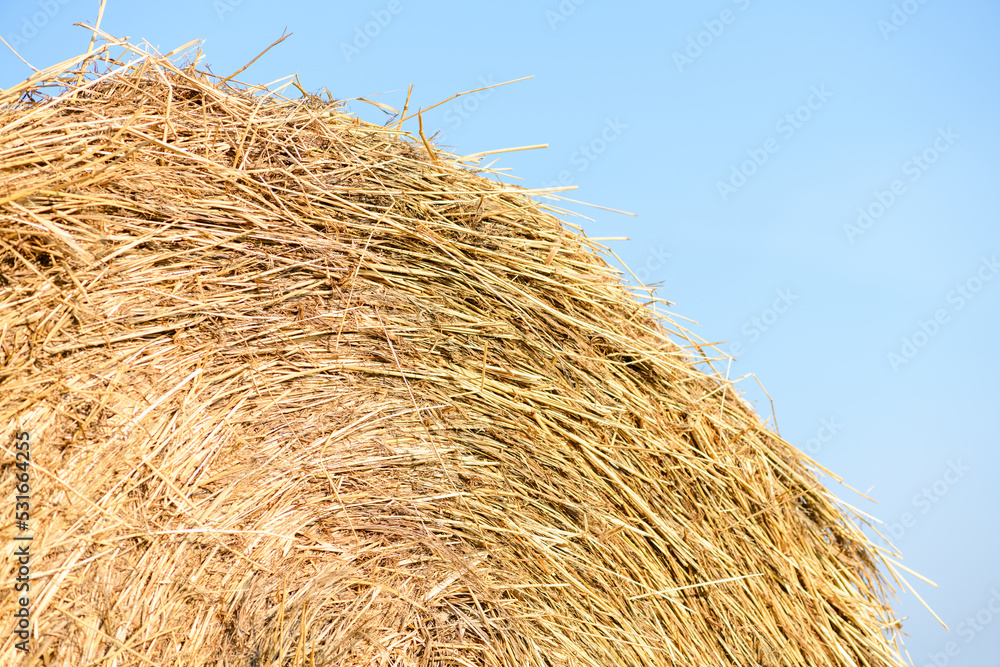 Haystack against the blue sky, close-up. Harvest concept. Rural scenery Haystack against the blue sky, close-up. Harvest concept. Rural scenery
