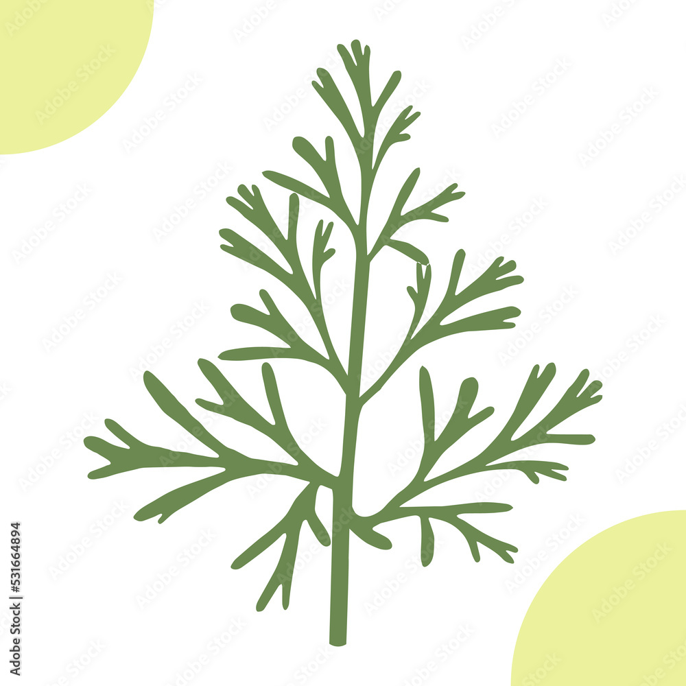 Fototapeta premium Poppy California leaves on white background