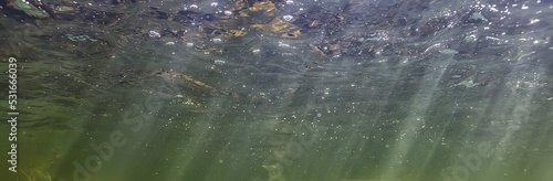sun rays under water landscape, seascape fresh water river diving