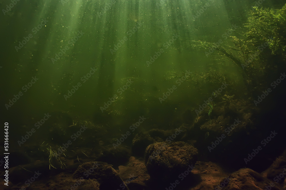 underwater fresh water green background with sun rays under, water