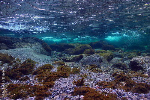 Fotografia underwater fresh water landscape, mountain lake ecosystem background in summer,