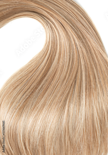 A strand of blond hair on a white background. Close-up.