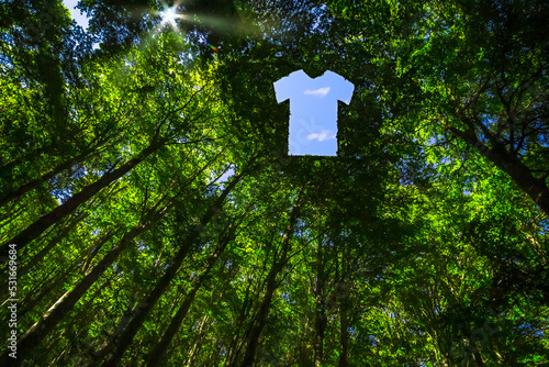 The Canopy of this Forest has Hole in the Shape of a T-Shirt