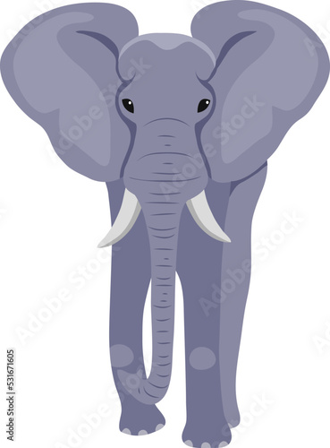 Front view of standing large gray African elephant