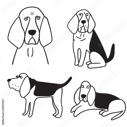 Collection of bloodhounds. Outline vector icons on white background. 