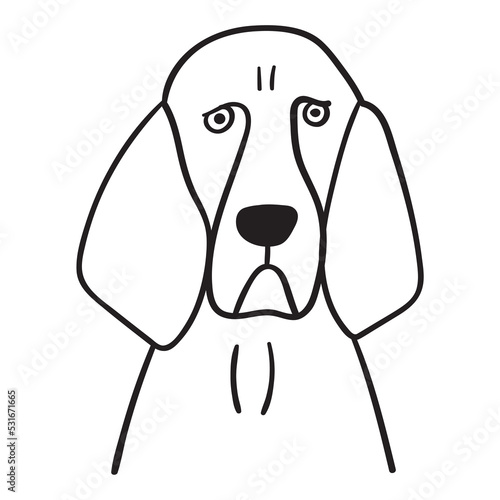 Face of Bloodhound. Outline icon. Vector illustration.