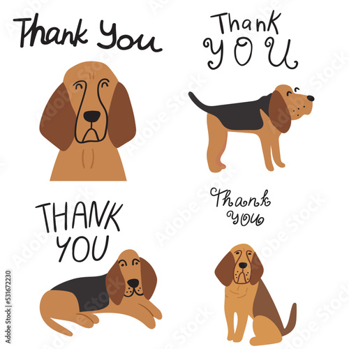 Collection of bloodhounds with  phrase - Thank you. Flat hand drawn vector illustrations on white background.