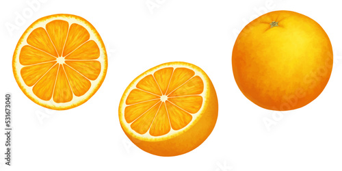 Oranges. Vector realistic illustration isolated on white. Whole, half and slice of a ripe orange. Citrus juicy set of cut pieces of sour fresh fruit with bright peel.