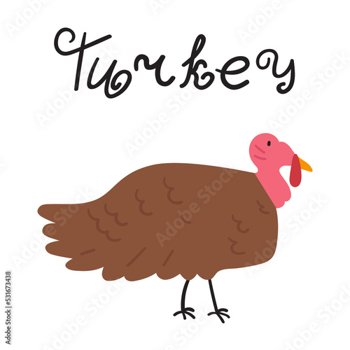 Turkey. Farm animal. Flat vector illustration on white background.