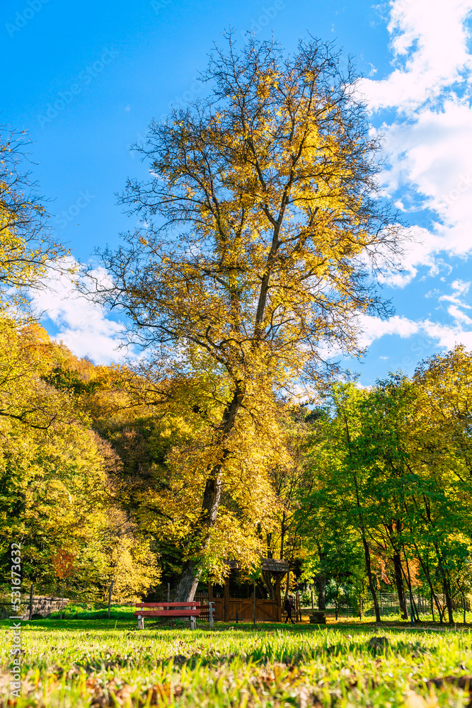 beautiful autumn season on the countryside