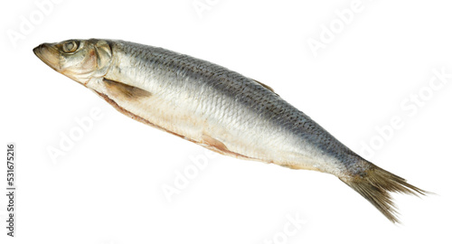 Salted herring on white background, Norwegian delicacy.