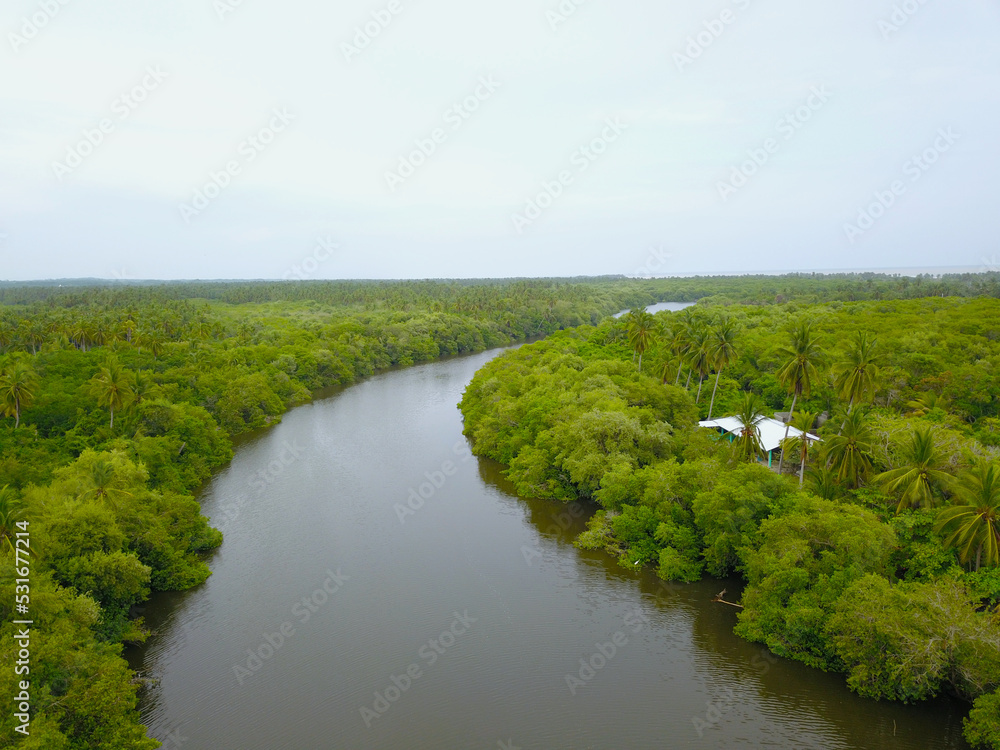 Aerial view over a section of Tres Palos lagoon, in the middle of the vegetation