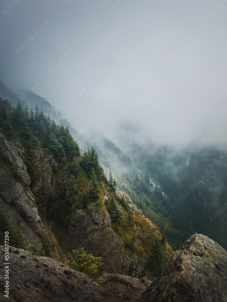 Idyllic view to the foggy valley from the top of the mountain. Dense mist clouds above the carpathians pine forest