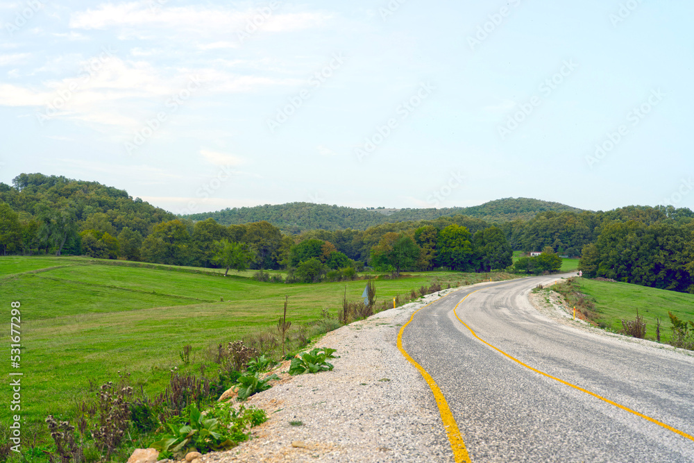 Fototapeta premium Autumn landscape with trees