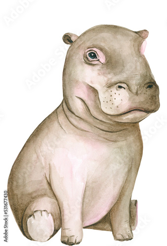 Photography Watercolor Baby Hippo, African Animals