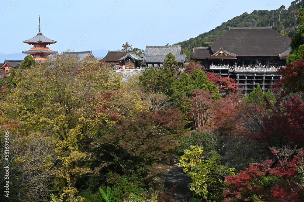 秋の京都　清水寺の紅葉の風景