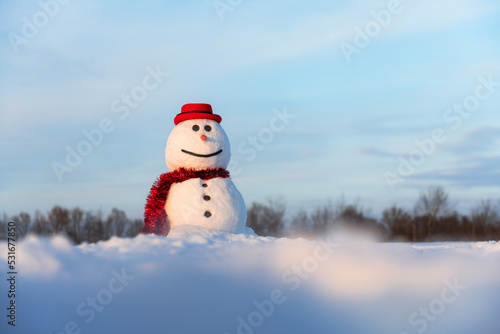 Funny snowman in stylish red hat and red scalf on snowy field. Blue sky on background
