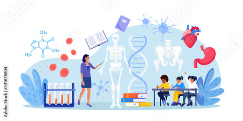 Anatomy school subject. Students studying human skeleton. Teacher pointing at chalkboard, teaching kids. Pupils learn nervous, bone, organs, blood systems. Biology classes, medicine