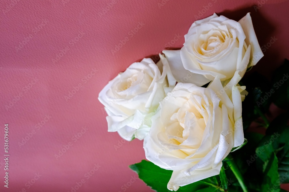Fototapeta premium バラの花束