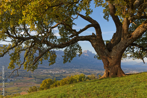 Landscape of mounatins and valleys around the oak of Venon