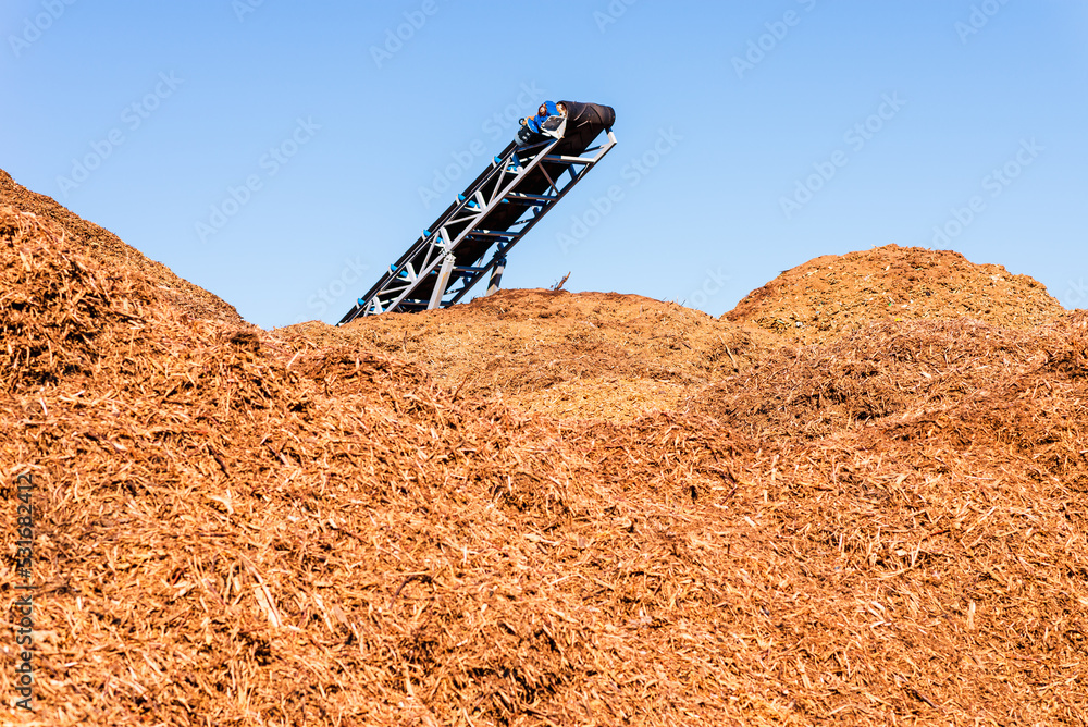 Alternative fuel,ecological fuel,biofuel sawdust,sawdust closeup