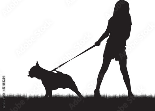 Silhouette of a girl with a belt on a leash. French Bulldog.