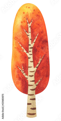 Autumn tree watercolor clipart. Illustration of an autumn deciduous birch tree with orange foliage. A plant for the autumn landscape of the park and forest. Isolated hand painted image