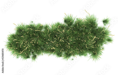 Grass on transparent background. 3d rendering - illustration