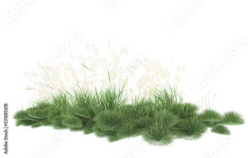 Grass on transparent background. 3d rendering - illustration