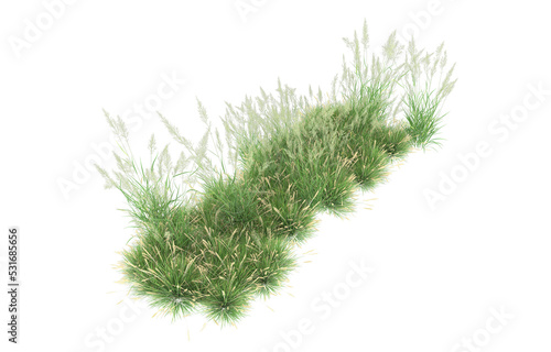 Grass on transparent background. 3d rendering - illustration