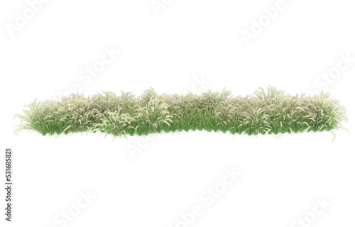 Grass on transparent background. 3d rendering - illustration