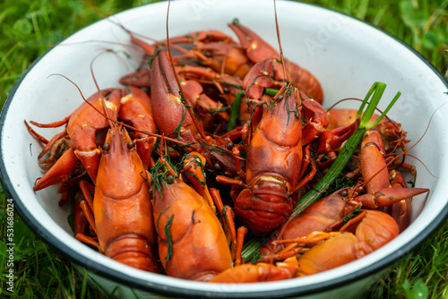 Boiled red crayfish in a metal bowl. A healthy diet meal
