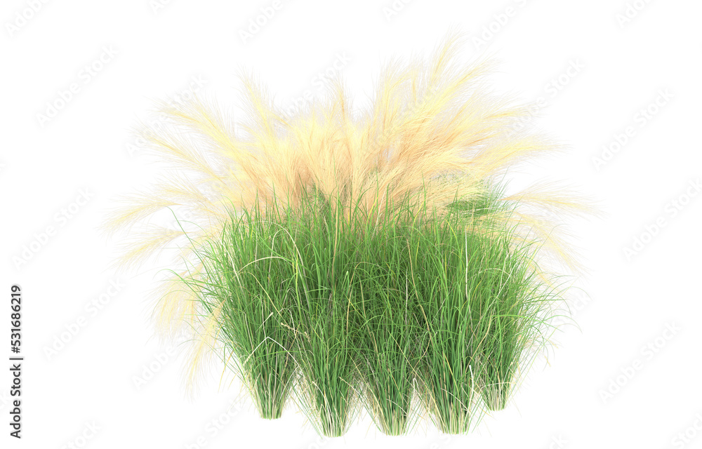 Grass on transparent background. 3d rendering - illustration Grass on transparent background. 3d rendering - illustration