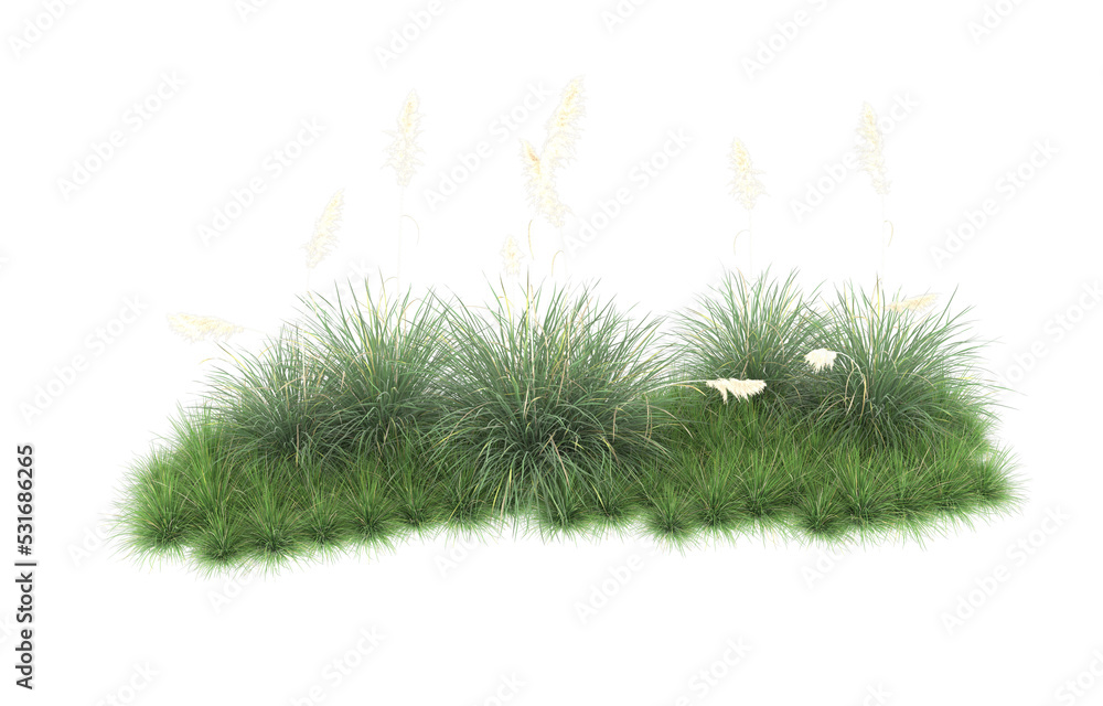 Grass on transparent background. 3d rendering - illustration Grass on transparent background. 3d rendering - illustration