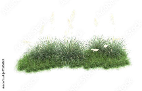 Grass on transparent background. 3d rendering - illustration