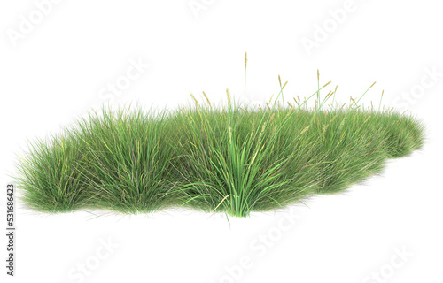 Grass on transparent background. 3d rendering - illustration