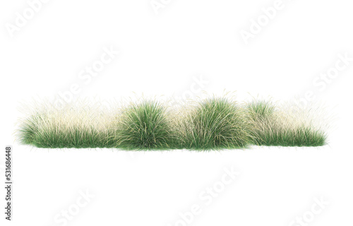 Grass on transparent background. 3d rendering - illustration