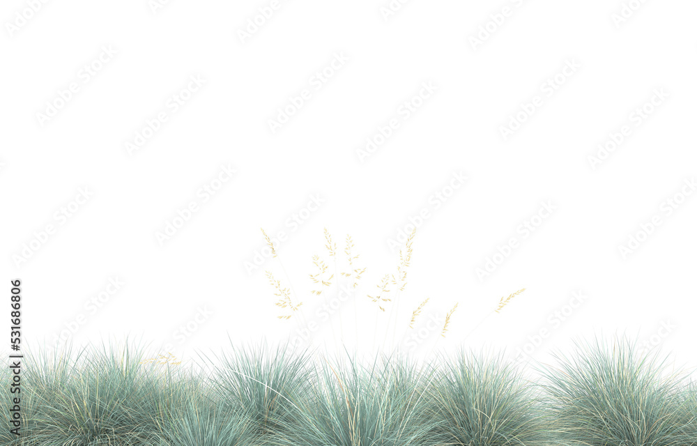 Grass on transparent background. 3d rendering - illustration