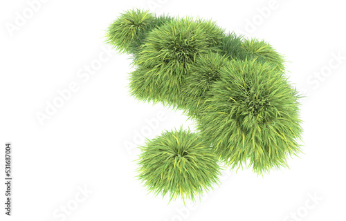 Grass on transparent background. 3d rendering - illustration