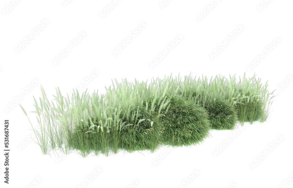 Grass on transparent background. 3d rendering - illustration Grass on transparent background. 3d rendering - illustration