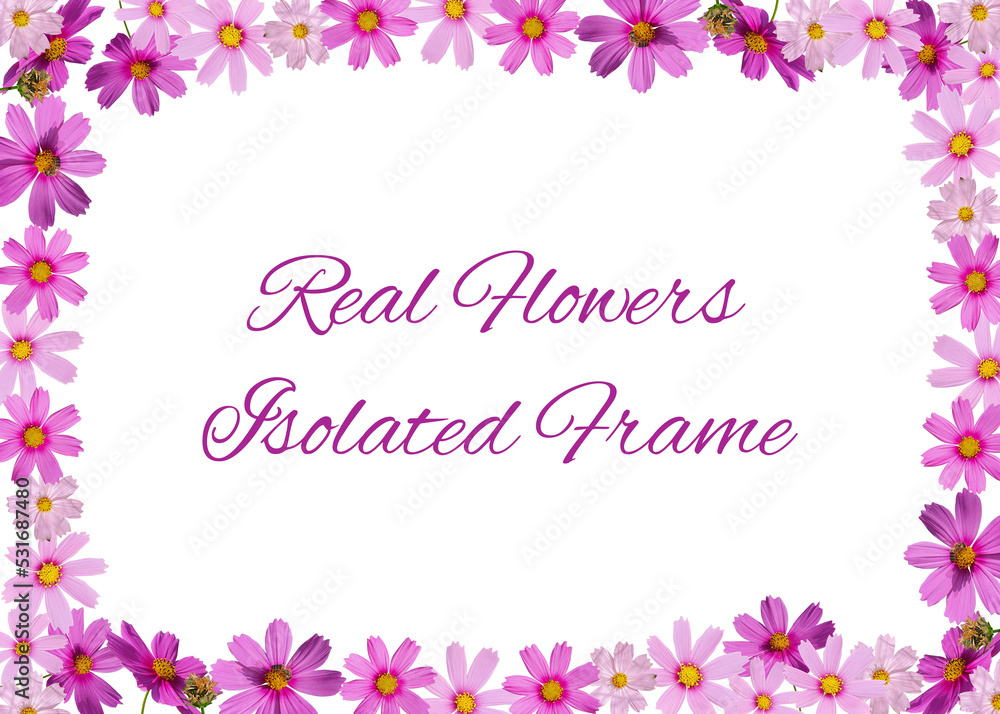 Isolated Calendula Botanical Flowers Frame Perfect Material for Invitation Greeting Poster Banner Wallpaper Design With Free Text Space Organic Look