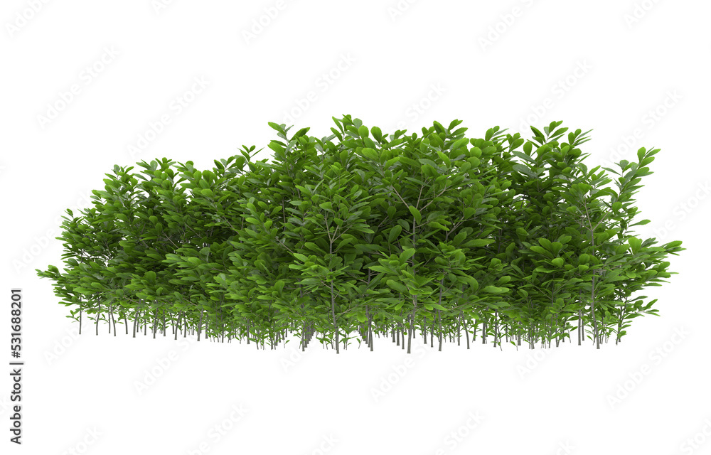 Fototapeta premium Grass on transparent background. 3d rendering - illustration