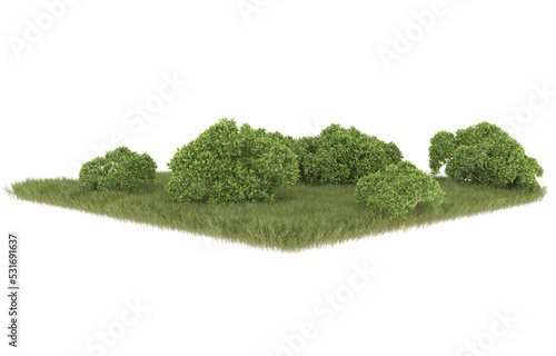 Grass on transparent background. 3d rendering - illustration