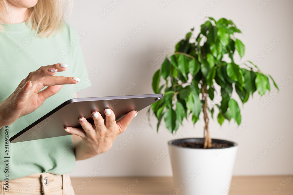 woman using touchpad standing at home with green plant on the background. closeup