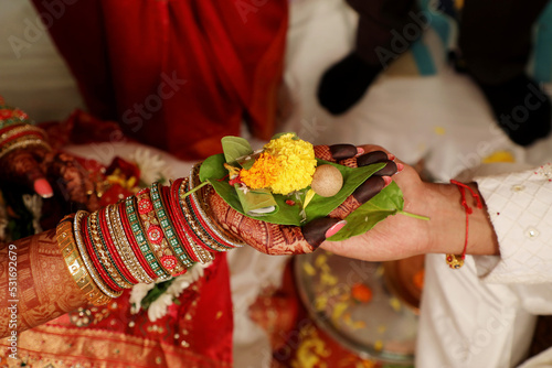Traditional Indian Wedding Hasta Milap