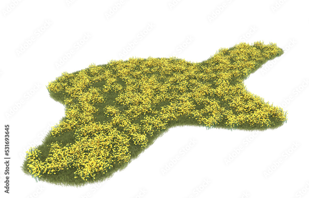 Fototapeta premium Grass on transparent background. 3d rendering - illustration